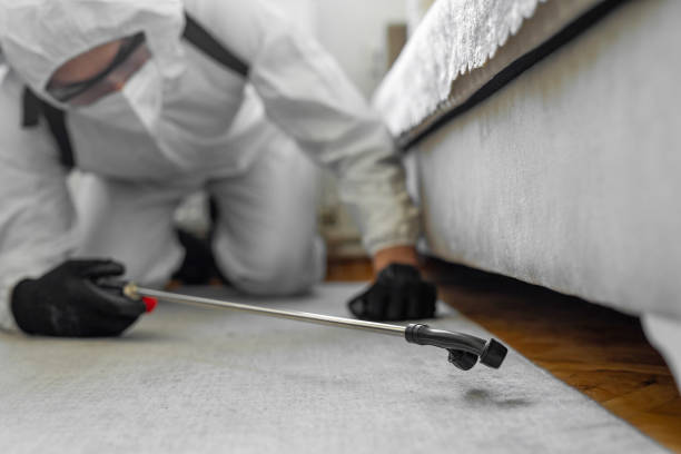 Professional Termite Control technician working in Frankfort, KY