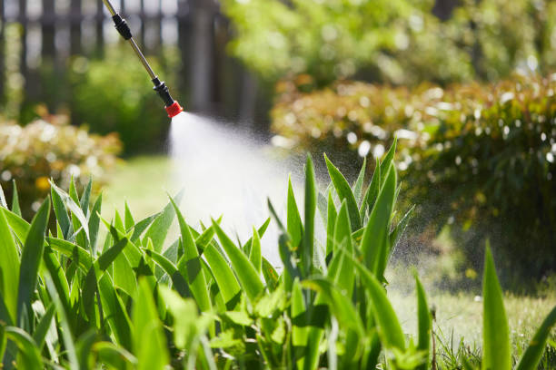 24/7 Emergency Termite Control experts in Frankfort, KY