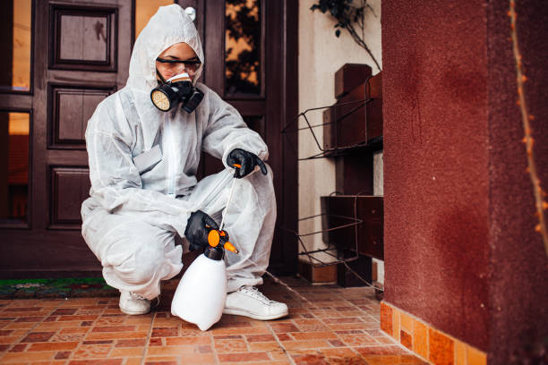 Reliable Termite Control contractor in Frankfort, KY by Nex Pest Control