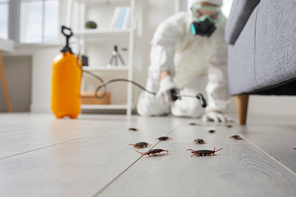 Affordable Termite Control solutions in Frankfort, KY